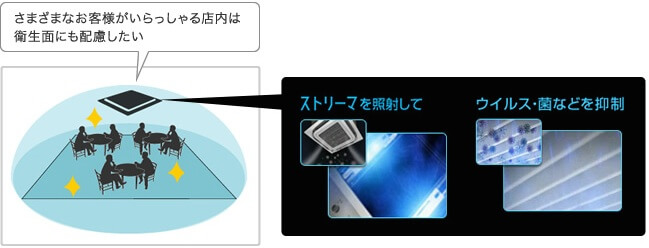 ストリーマを照射して、ウイルス・菌等を制御